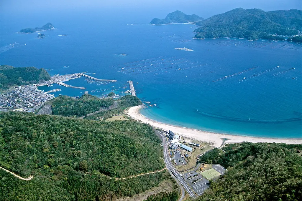 延岡の「美味しい」を知ってほしい！「延岡の魚」プレゼントキャンペーンを１０月１日より実施！ 画像 8