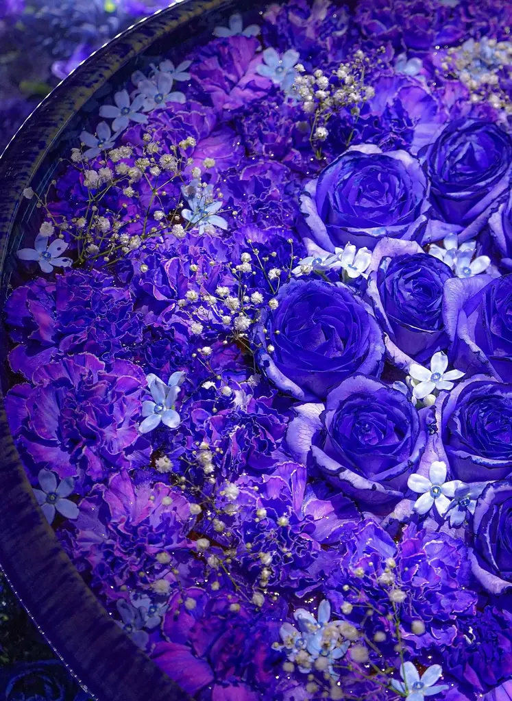 『その香り、春の記憶』～光と香りに包まれるイマーシブ型イルミネーション～ 画像 16