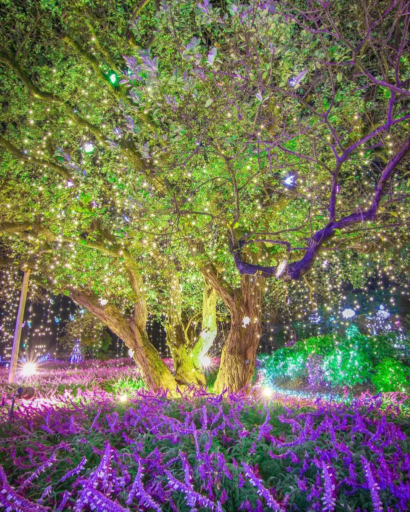 『その香り、春の記憶』～光と香りに包まれるイマーシブ型イルミネーション～ 画像 4