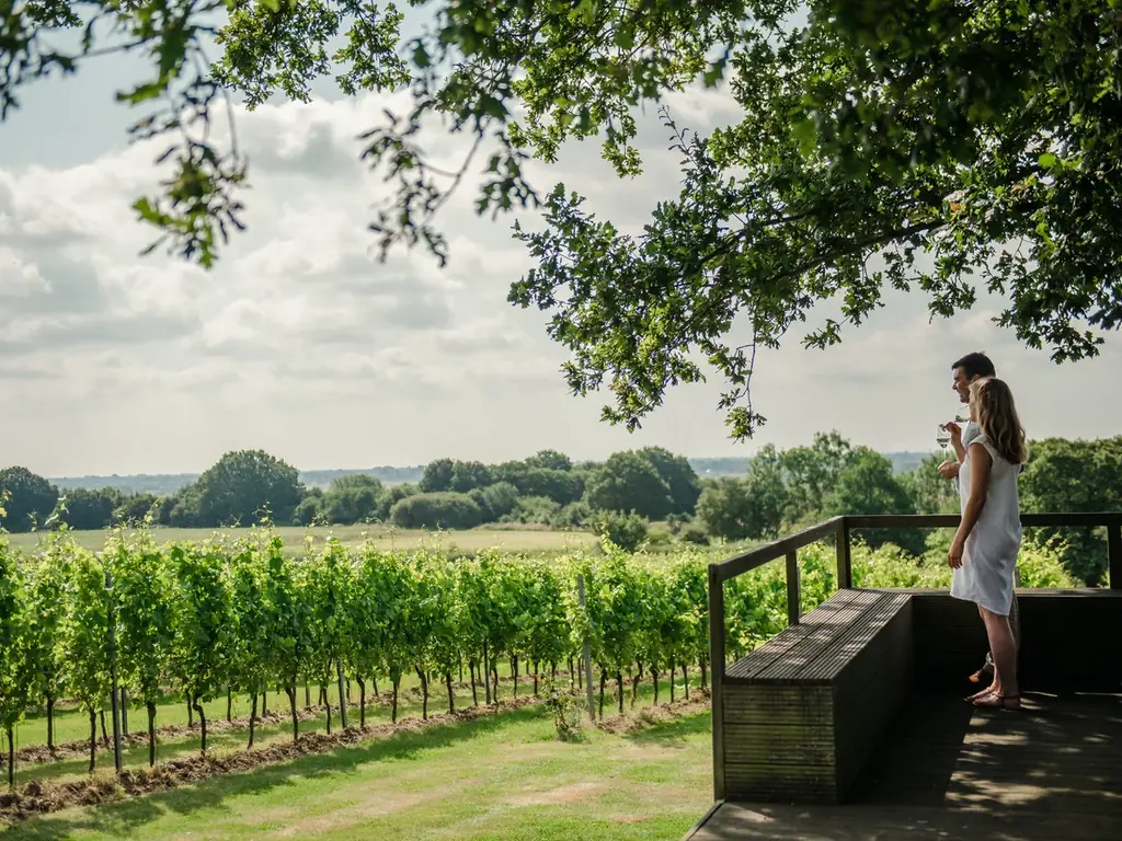ラスト1週間！英国パビリオンでスコーンと愉しむ英国ワイン @大阪関西EXPO 画像 14