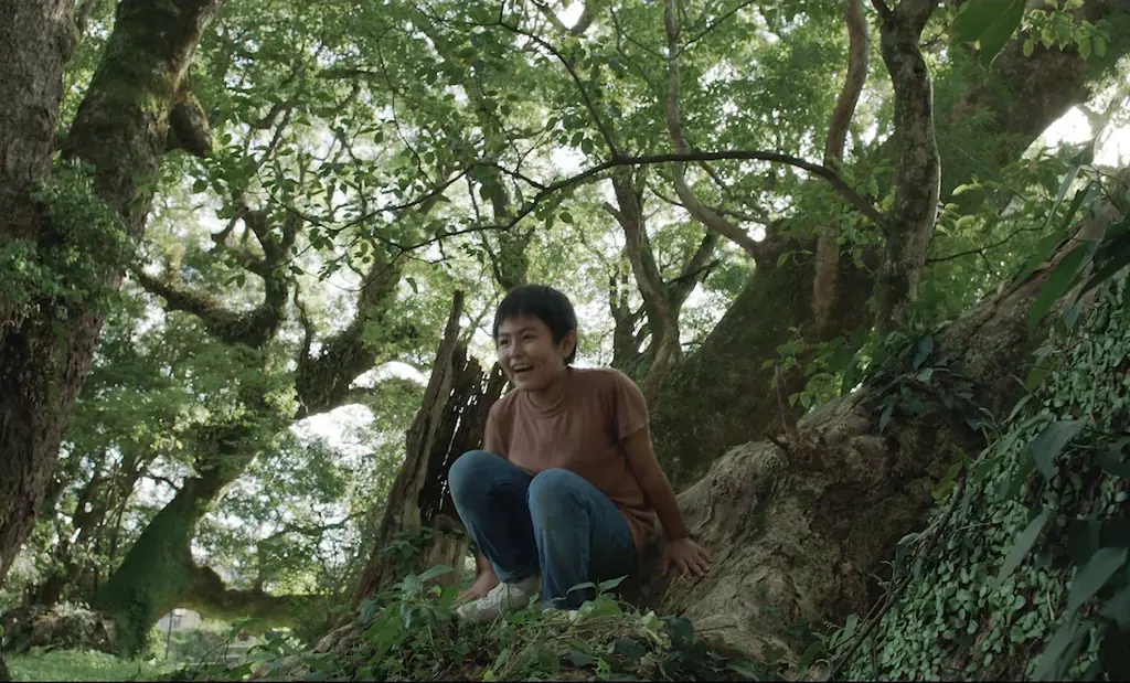 構想から約10年！台詞を極力排した93分。心で見て感じることに挑んだ印象派映画『郷』2026年1月2日(金)鹿児島先行公開、1月9日(金)全国公開決定！ムビチケにて前売り券販売スタート！ 画像 3