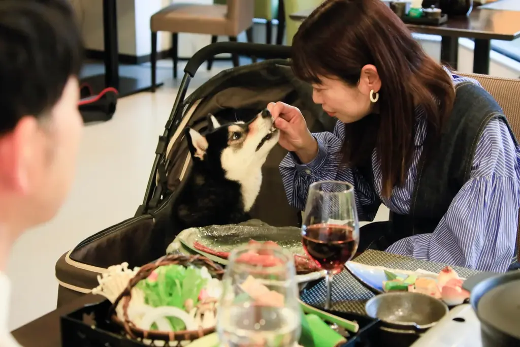 ハロウィン“全プレ”イベント開催！西伊豆・土肥温泉の愛犬宿にて　大人も子供もワンちゃんも笑顔に｜2025年10月17日～10月31日 画像 3