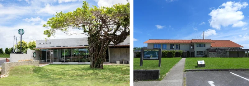 沖縄の「自然の恵みの豊かさ」を地域ともに未来につなぐ、『つなご・みらいアートプロジェクト』を始動 画像 1