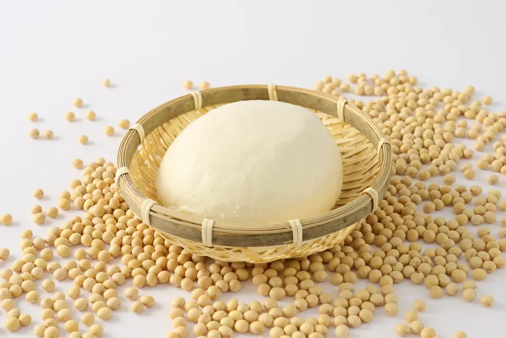 【佐賀県サガプライズ！新プロジェクト】“実はすごい佐賀県の豆腐“の魅力を全国へ！忍たま乱太郎×佐賀県～豆腐のくにを求めての段～ 画像 3