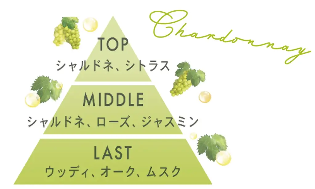 秋の新作フレグランス発売記念！『アクア シャボン』×『scoop coffee』 期間限定特別コラボレーション“シャルドネブリュットの香り”をイメージした限定メニューが登場！ 画像 7