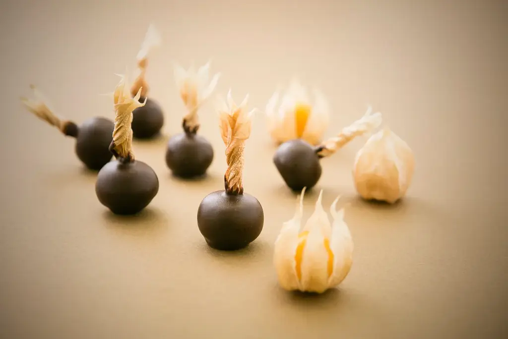 ”今だけ”の味わい。国産ほおずきを使用したチョコレートボンボン「ゴールデンベリーチョコレート」を今年も数量限定販売 画像 1