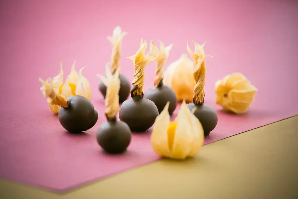 ”今だけ”の味わい。国産ほおずきを使用したチョコレートボンボン「ゴールデンベリーチョコレート」を今年も数量限定販売 画像 3