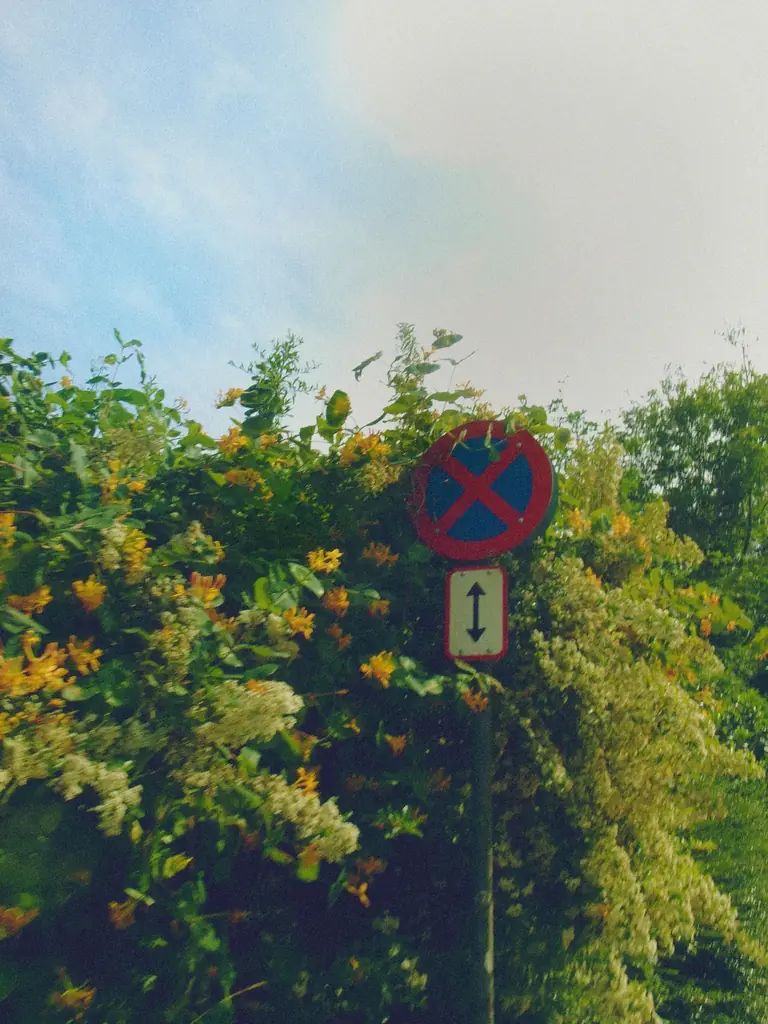 羊羹ブランド「YO KAN KA」に秋冬の新作3種登場！2025年10月3日（金）よりオンラインショップおよびネクタイ専門店「giraffe」にて販売開始 画像 2