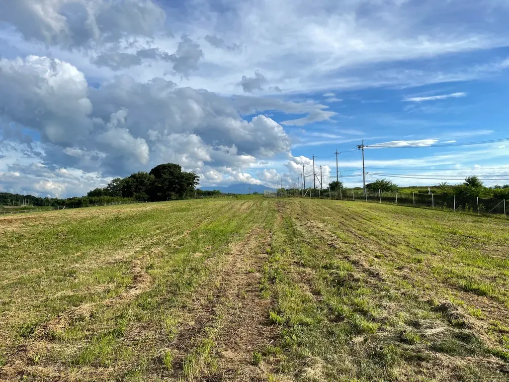 日本初の最大級の“ワインブドウ原木園”から始まる多彩なワイン造りの可能性──JVA、輸入品種・クローンで造られたワイン6種の無料試飲会を開催（オンライン／渋谷） 画像 1