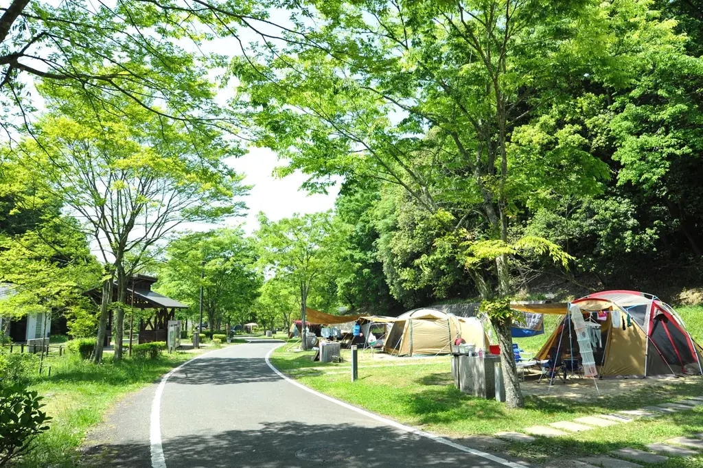 家族でとことんアウトドアを楽しもう！「アウトドアパークin讃岐まんのう公園2025」を開催します（国営讃岐まんのう公園） 画像 12