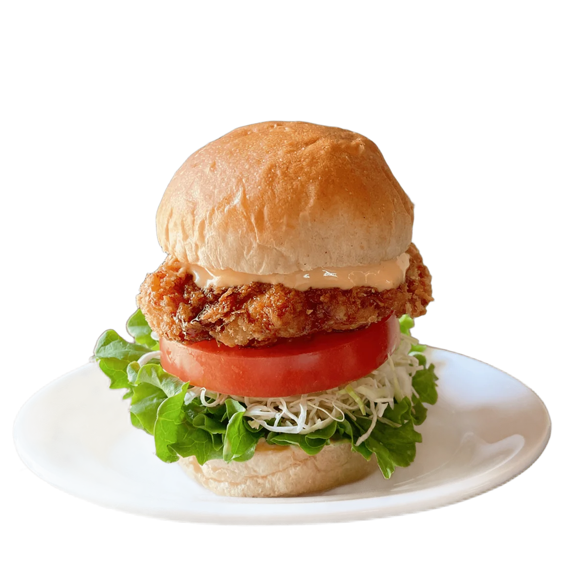 わずか半年で10万食を突破。大阪・関西万博「かるあげ」キッチンカー、プラントベース専門店として世界的にも例の少ない実績に（＊） 画像 2