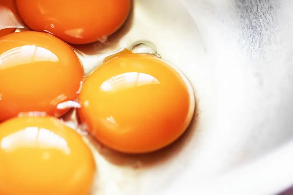 栗の季節到来。季節限定の超高級スイーツ『最高級和栗のプレミアムガトーマロン』2025年10月、改めて誕生。 画像 10