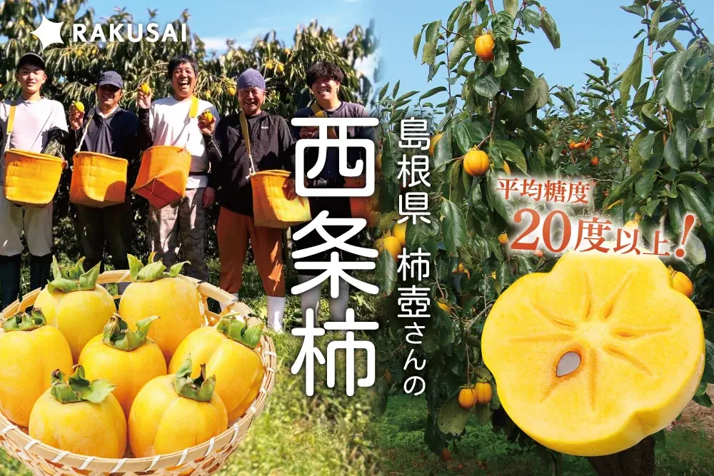 希少な西条柿「柿壺さん」期間限定販売、出雲の秋