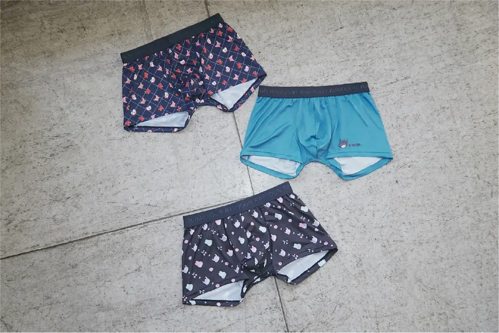 【待望の新シリーズ！】MINAMOさんとRAVIJOURのスペシャルコラボレーション第3弾！こだわりのつまったランジェリーコレクションが登場。 画像 10