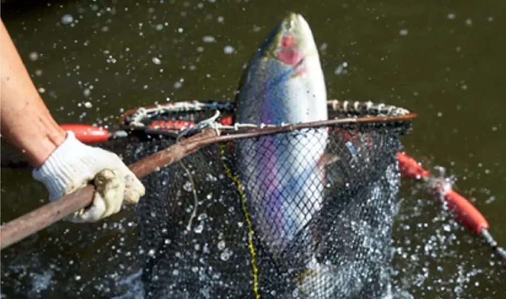 【柏髙島屋】秋の大北海道展開催！！柏で北の大地の恵みを楽しもう 画像 5