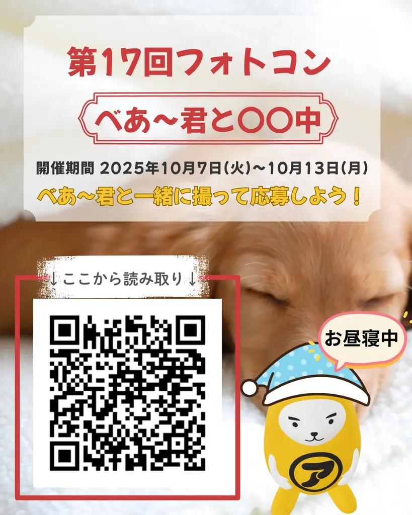 べあ〜君ARフォトコン開催　熱中タイムをARで投稿