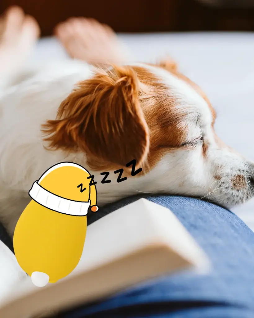 べあ〜君ARフォトコン、第17回テーマは「べあ〜君と○○中（なう）」開催 画像 4