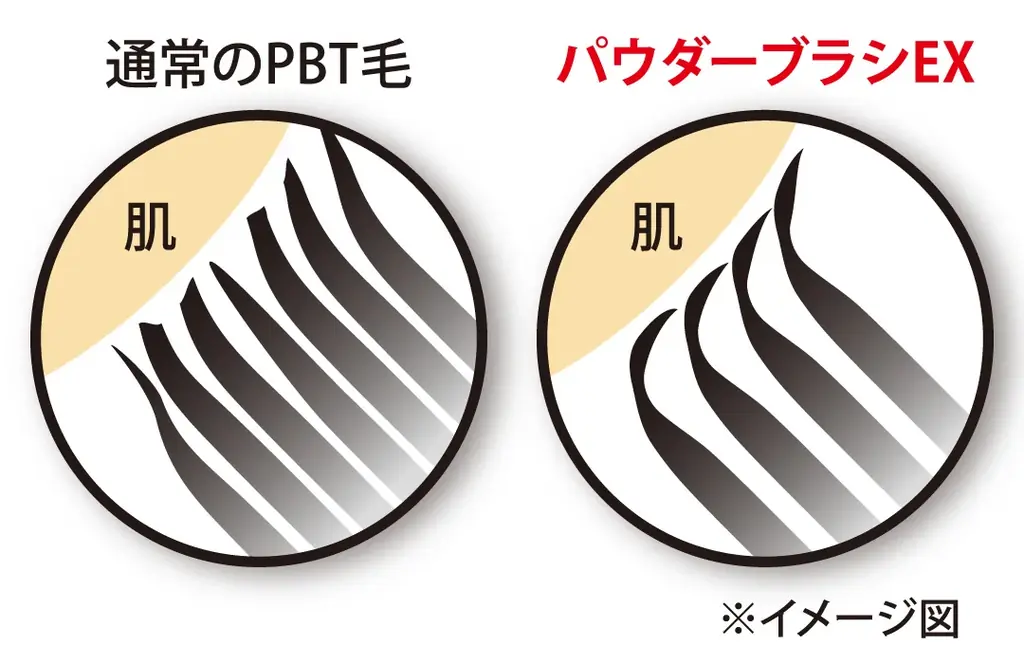 ロージーローザ最高級メイクブラシ「パウダーブラシEX」に、穂先斜め形状の＜アングルド＞が10月7日新発売 画像 3