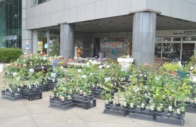 【入園無料】香り豊かな「秋バラ」約160品種360本が、10月中旬ころから見頃を迎えます（小田原フラワーガーデン） 画像 11