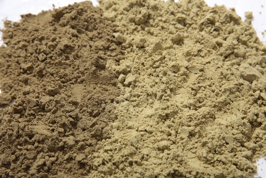 毎日続けたくなる、飲みやすい植物性プロテイン「HEMPS 有機プレミアムヘンププロテイン」を10月8日よりビオセボン（一部店舗除く）にて発売開始 画像 2