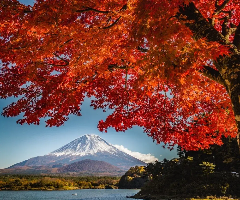 【JAF静岡】秋の富士山西麓エリアを満喫！「富士山西麓周遊ドライブスタンプラリー2025」の開催に協力します 画像 5
