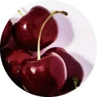 メイクアップアーティスト発のクリーンビューティーブランド「rms beauty」より、2025年ホリデーキットが10/31（金）発売！ 画像 7