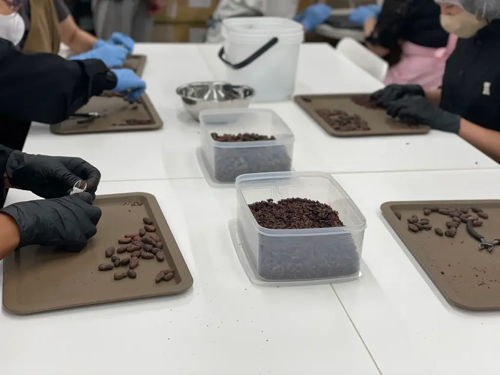 医療法人発「パティスリーコンサクレ」が神戸・北野異人館街の人気観光エリアに新店オープン！ 画像 8