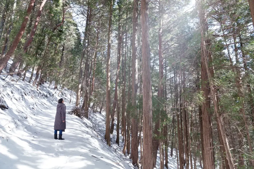 【星のや富士】静寂な冬の森に“屋外こたつ”が登場。炎に集い、五感を澄ます「冬グランピング」今冬も開催 画像 6