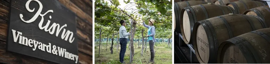 世界最優秀ソムリエが認める山梨のワイナリー「Kisvin Winery」とダイナースクラブが初コラボレーションラベルのワインを発表　～限定100セット販売、限定イベントも開催～ 画像 2