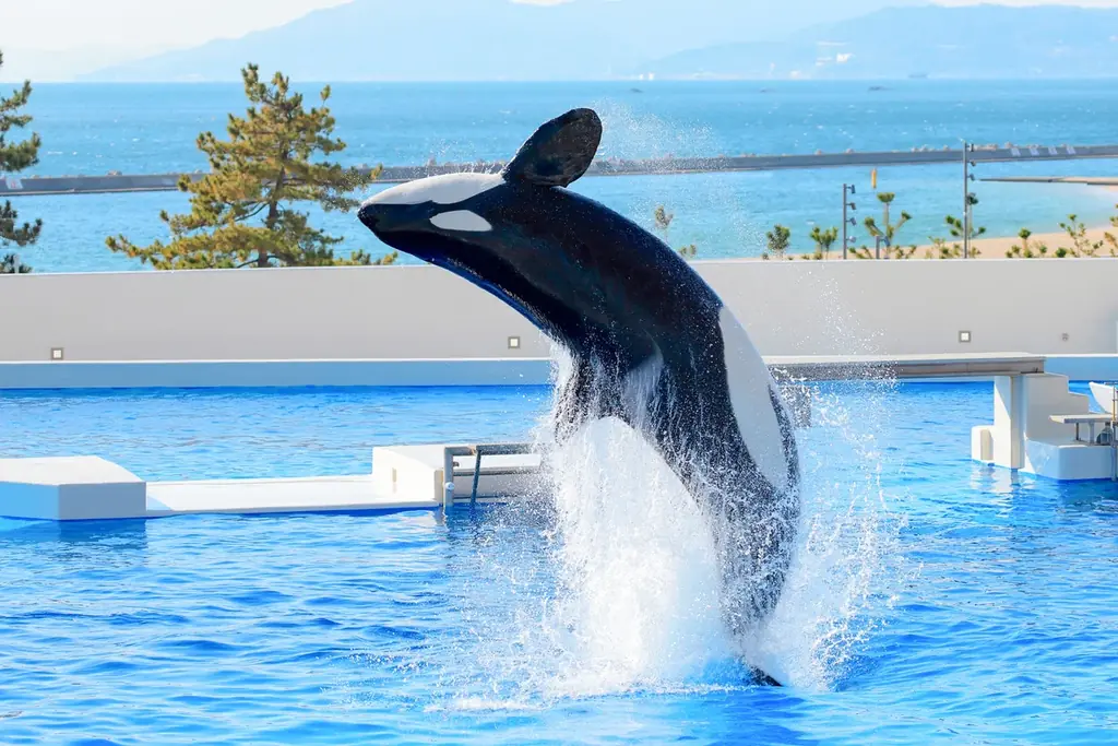 IFME×神戸須磨シーワールド『みらいキッズフットプロジェクト~海の生きもの博士への道！足から学ぶシーワールド~』 “足型測定会” と “○×クイズ”を実施、豪華なプレゼントも 画像 5