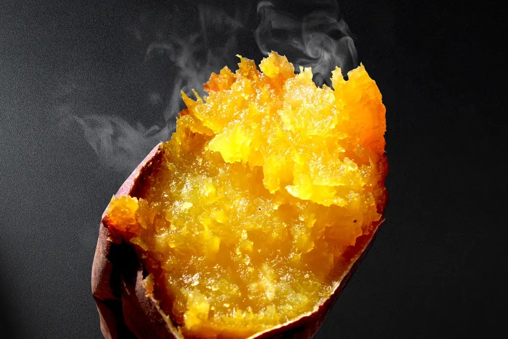 10月17日（金）より開催！さつまいもグルメの祭典『横浜おいも万博2025』 画像 2