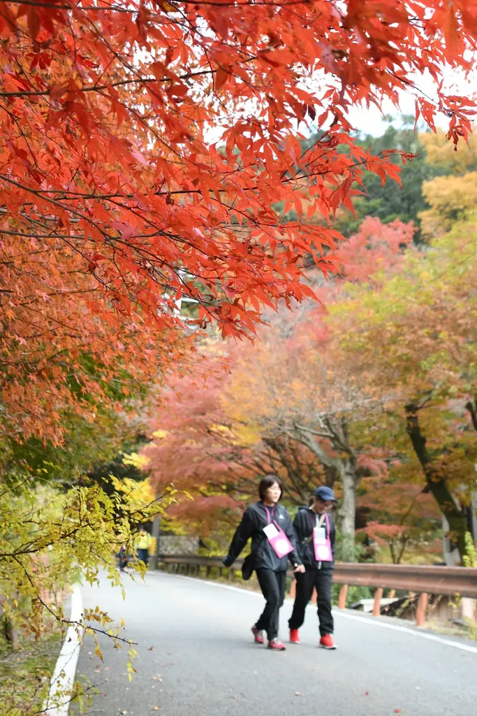 紅葉彩る”湯の山温泉”で地域の食と自然を体感「たべる」「めぐる」ONSEN・ガストロノミーウォーキング開催（参加申込受付中） 画像 20