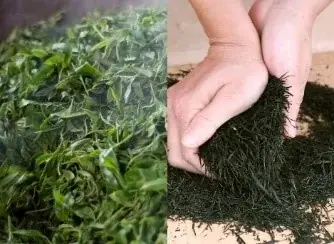 「深蒸しバジルとケールのパスタソース」 2025年10月15日（水） 数量限定発売 画像 3