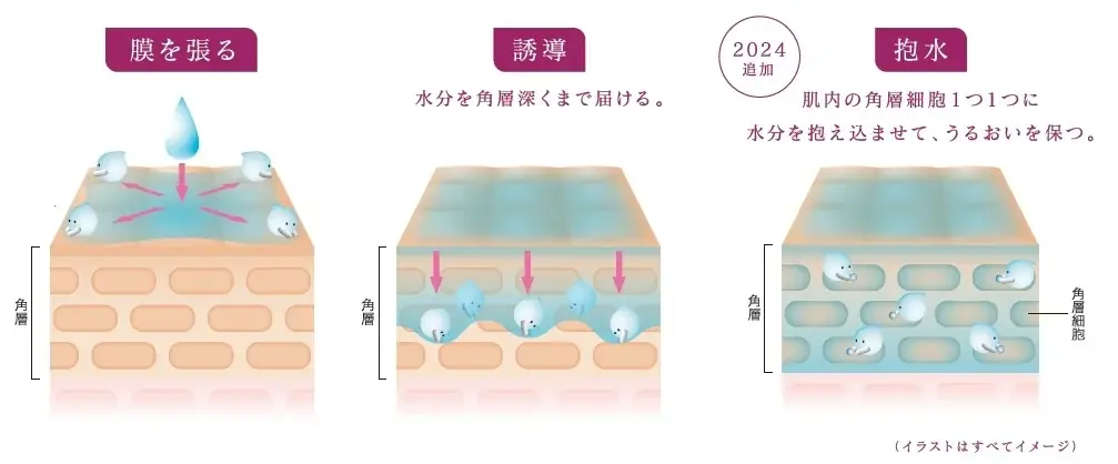 ３ステップの角層アプローチで、うるおいめぐるハリ肌へ。TWANY(トワニー)から、「トワニー ローションN」、「トワニー エマルジョンN」2025年10月11日(土) リニューアル発売 画像 10