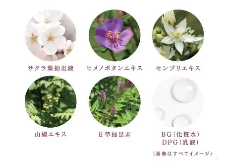 ３ステップの角層アプローチで、うるおいめぐるハリ肌へ。TWANY(トワニー)から、「トワニー ローションN」、「トワニー エマルジョンN」2025年10月11日(土) リニューアル発売 画像 7