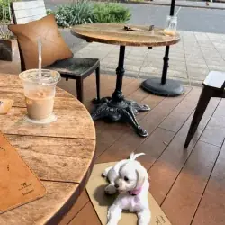 SobagniがMr.FARMER 駒沢オリンピック公園店をジャック！愛犬にも環境にもやさしい“エシカル空間”10月18日（土）より期間限定で登場 画像 4