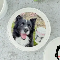 SobagniがMr.FARMER 駒沢オリンピック公園店をジャック！愛犬にも環境にもやさしい“エシカル空間”10月18日（土）より期間限定で登場 画像 7