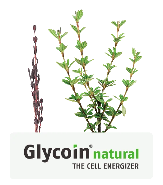 100％炭酸※泡ミルクが叶える、ふっくらもっちり肌 画像 5