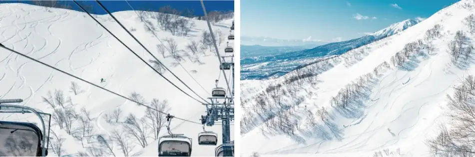 50歳以上限定！新リフト券「50+(フィフティプラス)」販売開始のお知らせ 画像 2