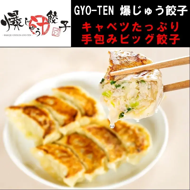 「北関東ラーメンフェスタ2025秋in高崎」同時開催「餃子フェス」出店店舗決定のお知らせ 画像 10