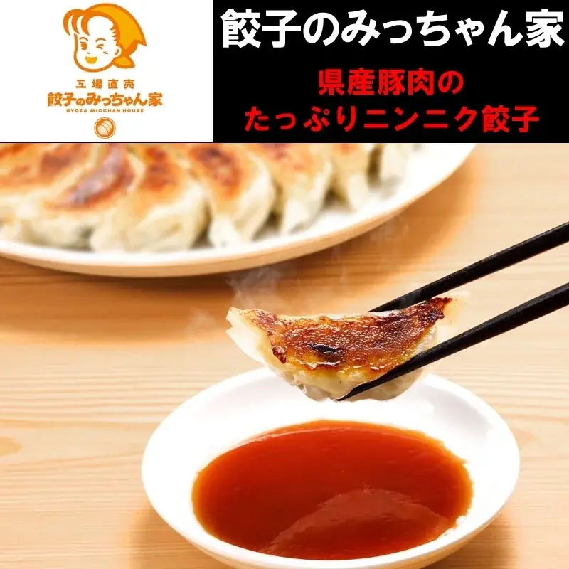 「北関東ラーメンフェスタ2025秋in高崎」同時開催「餃子フェス」出店店舗決定のお知らせ 画像 13