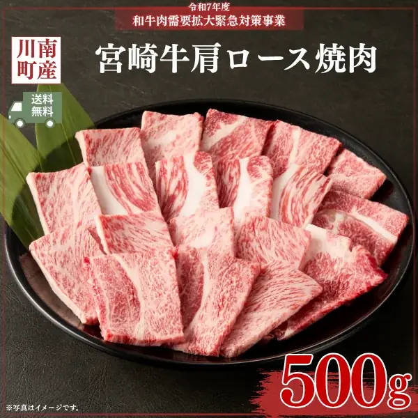 【送料無料キャンペーン開始】好評につき第2弾決定！無くなり次第終了！川南町産の宮崎牛を今回限りの特別価格でご用意！食欲の秋は、おいしい肉で決まり！ 画像 4