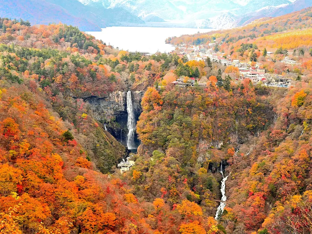 秋の日光を満喫！紅葉とハロウィン装飾を楽しむグランピング 画像 8