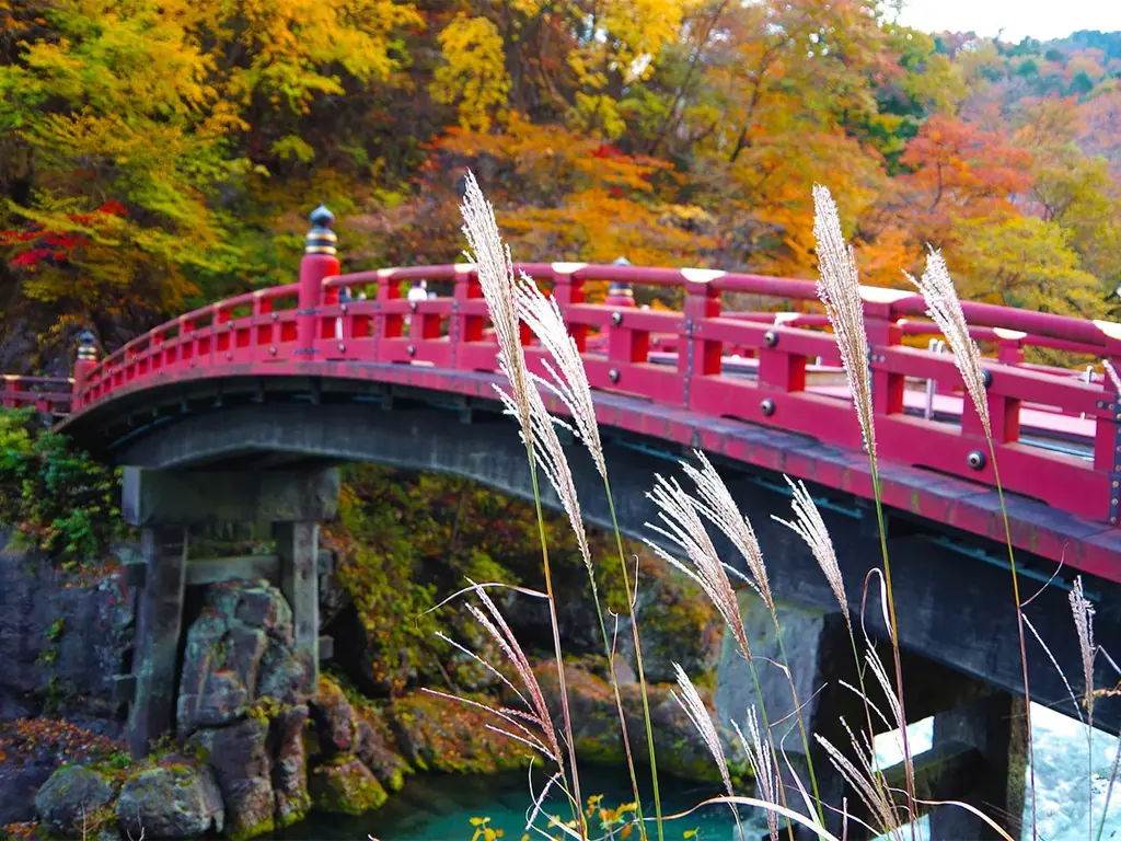 秋の日光を満喫！紅葉とハロウィン装飾を楽しむグランピング 画像 9