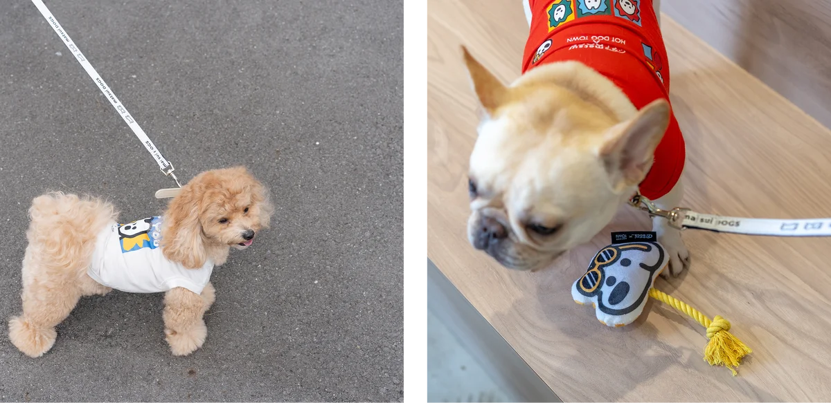 イラストレーターmatsui(マツイ)が描く「matsui DOGS」と愛犬家向け複合施設「HOT DOG TOWN」がコラボ。限定アイテムの販売や、国内初開催のコラボカフェ・POP UPを実施！ 画像 2