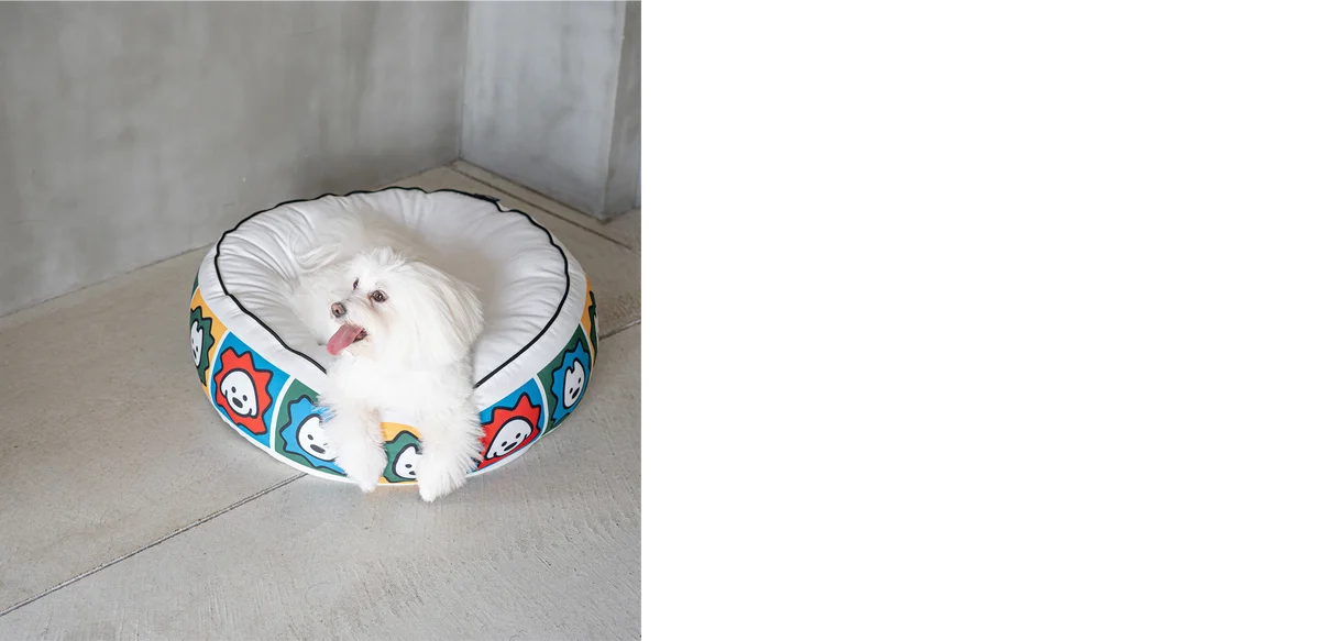 イラストレーターmatsui(マツイ)が描く「matsui DOGS」と愛犬家向け複合施設「HOT DOG TOWN」がコラボ。限定アイテムの販売や、国内初開催のコラボカフェ・POP UPを実施！ 画像 3