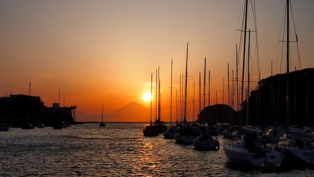 三浦市三崎に「泊まれるブルワリー」が誕生！クラフトビールとローカル体験による『五感で味わう三崎の旅』を提案 画像 13