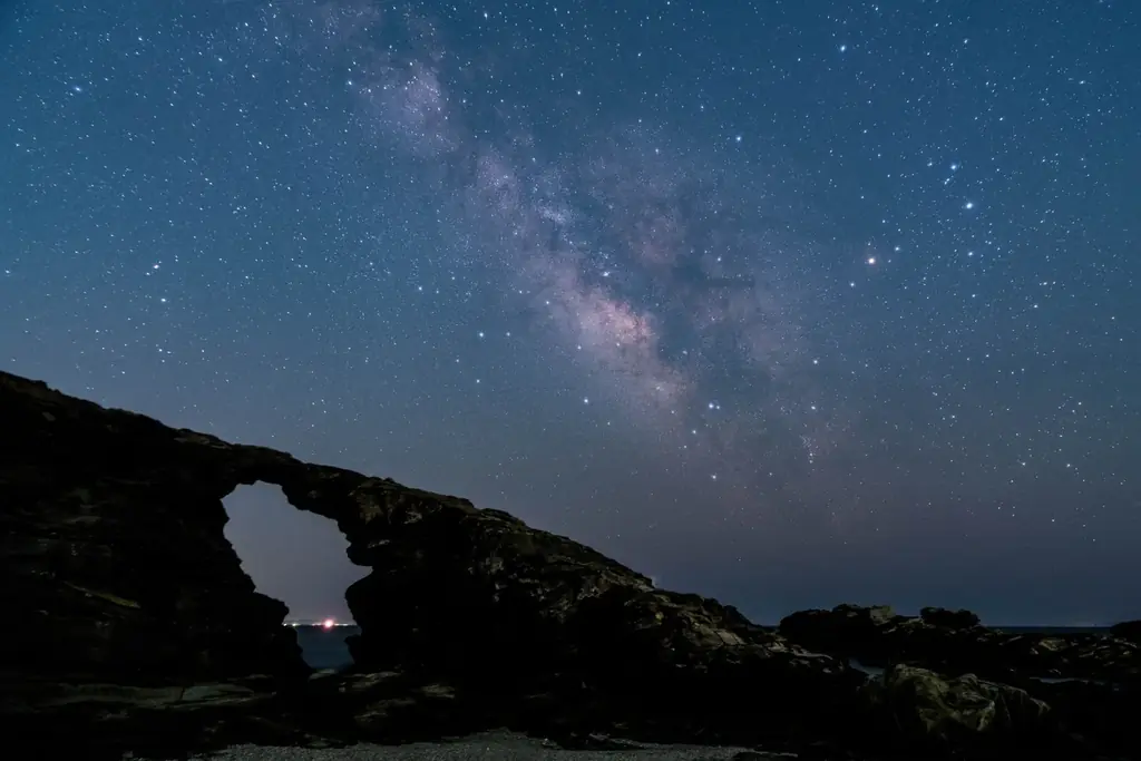 三浦市三崎に「泊まれるブルワリー」が誕生！クラフトビールとローカル体験による『五感で味わう三崎の旅』を提案 画像 14