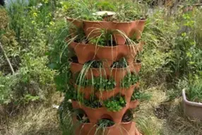 みんな商店のハロウィンは「食べて、学んで、エコを楽しむ」期間限定かぼちゃスイーツ＆資源回収キャンペーンを開催 画像 8