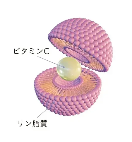 【コンビニ美容の調査】レスキュー美容に加え、日常のセルフケアや最新トレンドを試せる美容スポットに！美容商品購入者のうち、インナーケア商品の購入は9割超え。重視する1位は「成分」に 画像 9